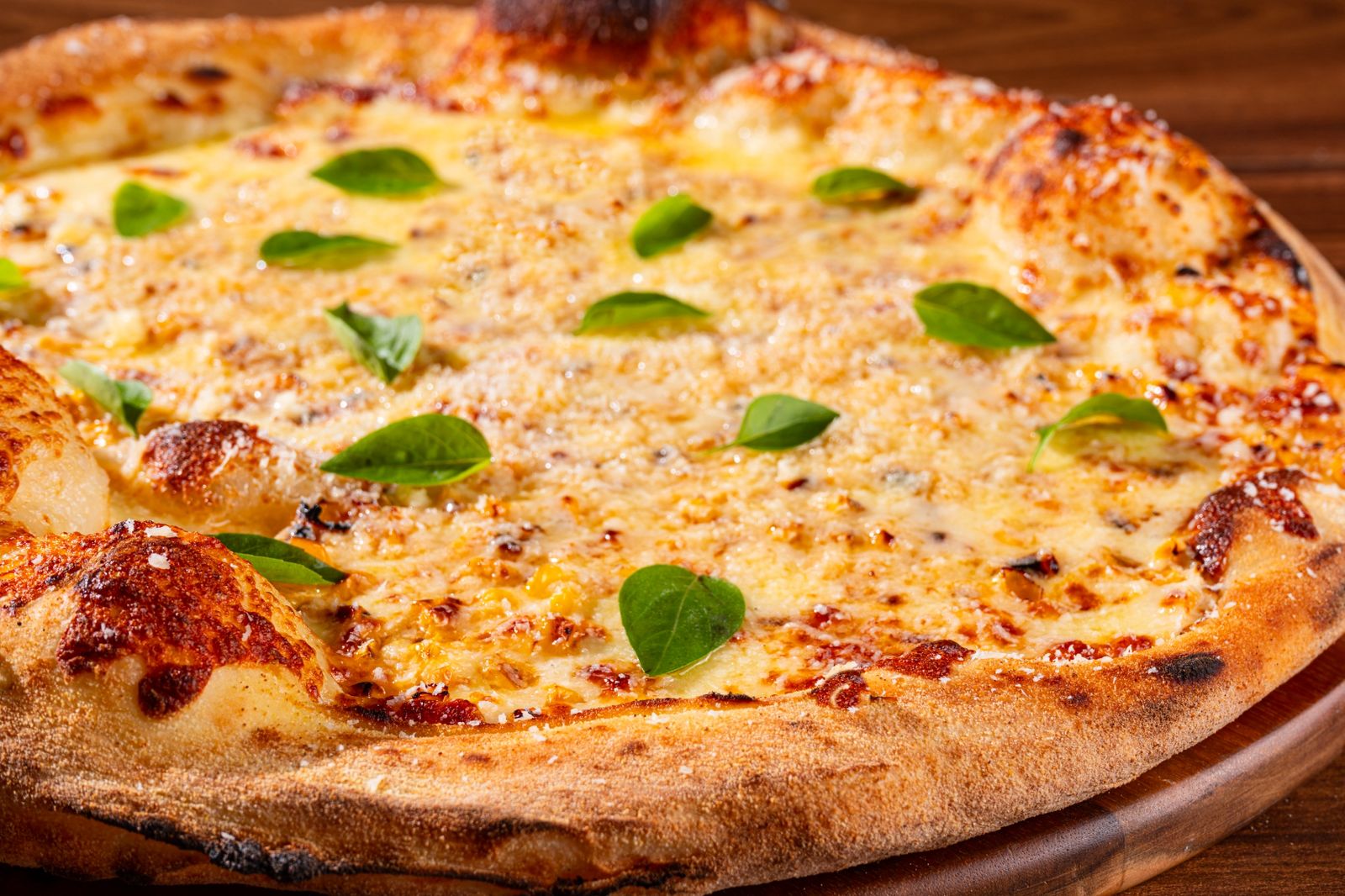 Imagem de Toutz Pizza é finalista de uma das principais premiações da gastronomia baiana
