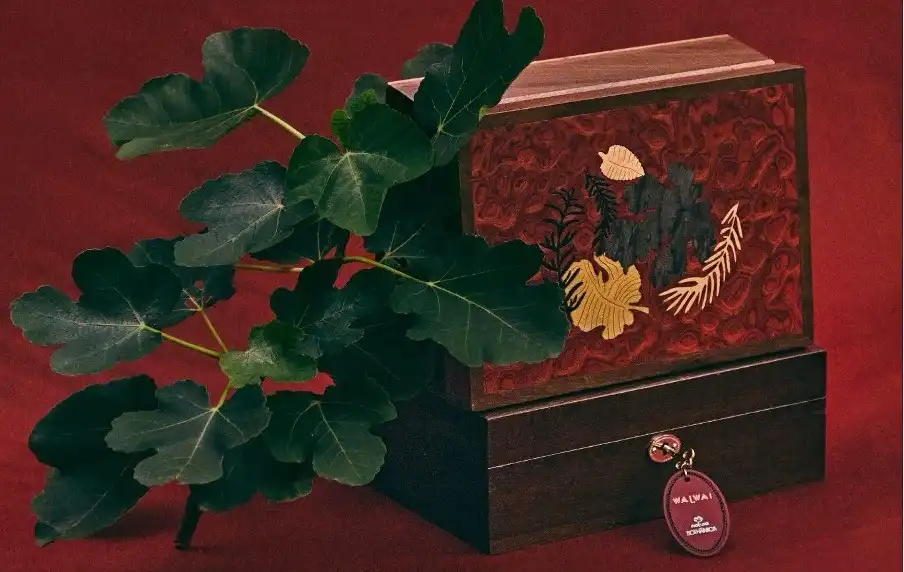 Imagem de Natura Bothânica e WAIWAI Rio apresenta peça exclusiva e limitada para o Natal 2025