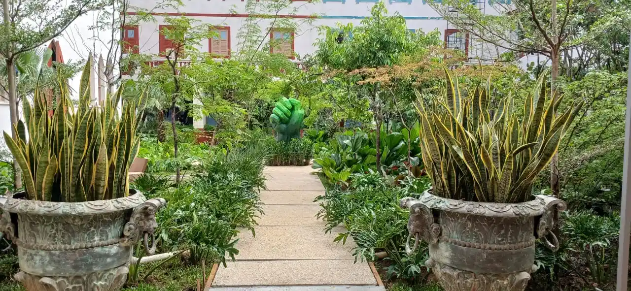Imagem de Alex Sá Gomes homenageia Sebastião Salgado com o Jardim das Árvores na CASACOR Bahia