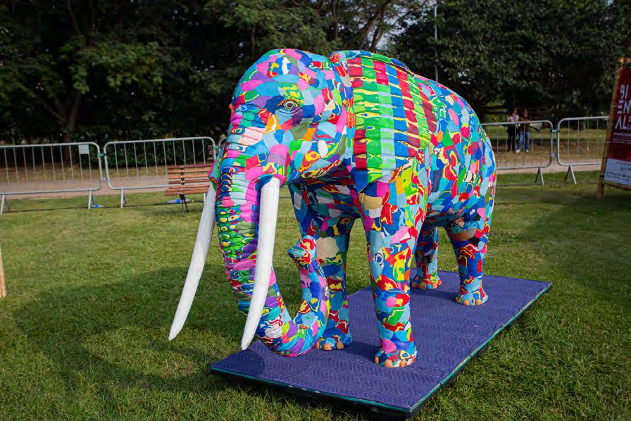 Imagem de Arte sustentável do Quênia é destaque na Bienal do Lixo 2025 em Salvador