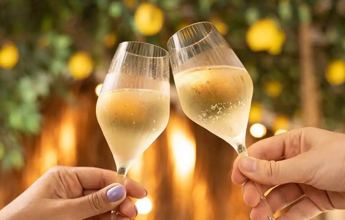Imagem de Allê Varanda Bar, Yolo Coffee Bar e Decanter promovem tarde de vinhos e ostras no Santo Antônio