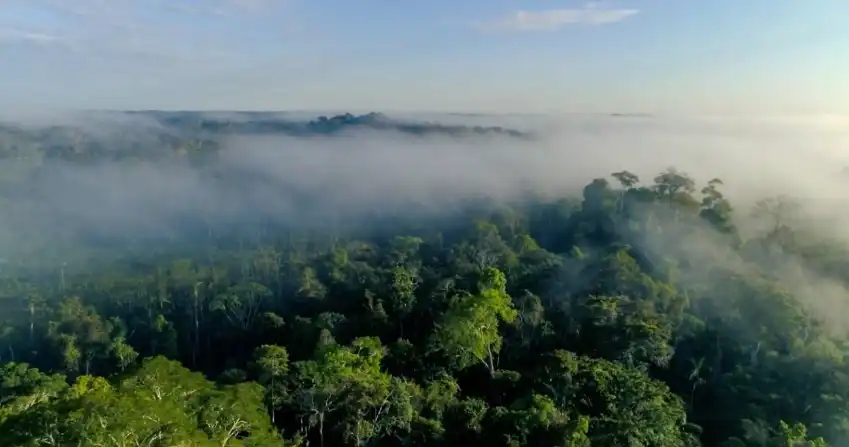 Imagem de Últimos episódios da série "São Florestas" serão exibidos em fevereiro no SescTV