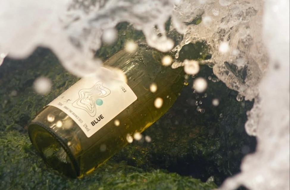 Imagem de Blue Praia lança rótulos próprios de vinho para o Verão em Salvador